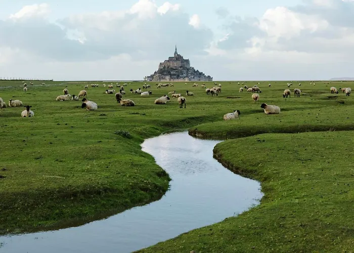 Bord De - Le Coquelicot